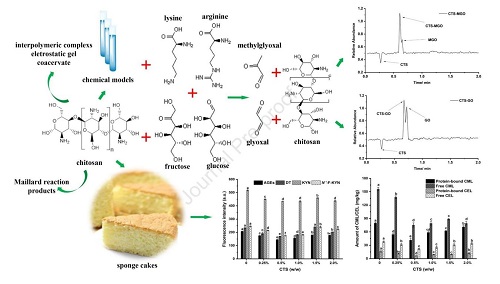壳聚糖抑制化学模型和烘焙食品中AGEs的形成.jpg
