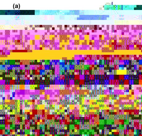 (a)不同光力体系全光同步的示意图；（b）微球和微盘通过5km的单模光纤实现同步的动力学过程；两个机械振子同步前（c）和同步后（d）的相位图。.jpg