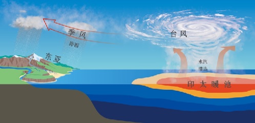 同济1020.jpg